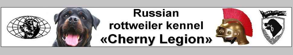 Russian rottweiler kennel Cherny Legion